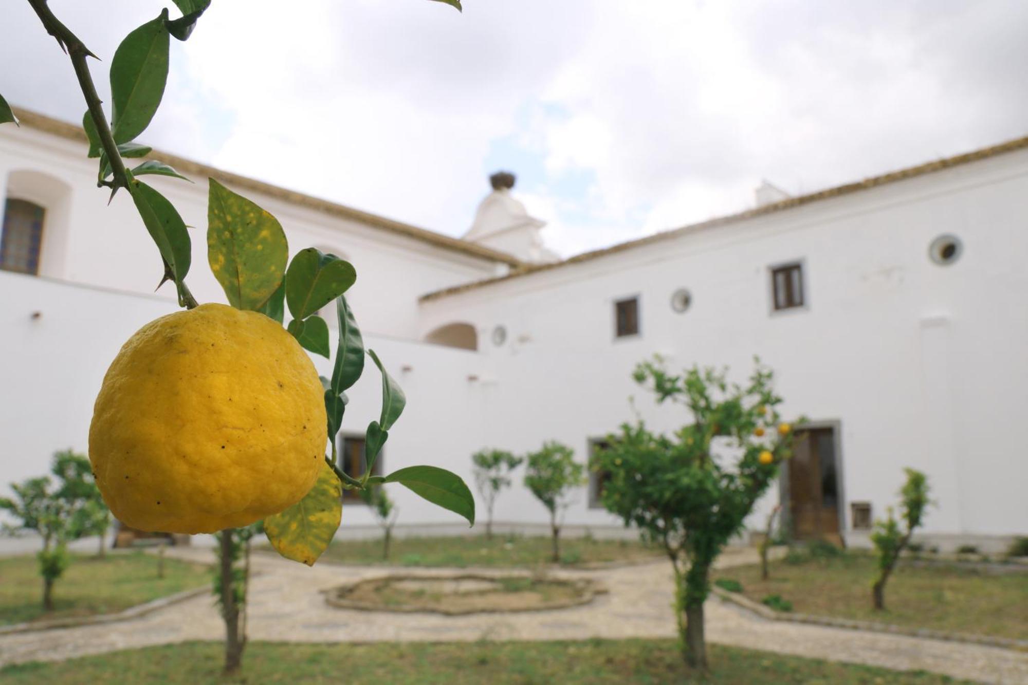 Country house Convento Da Orada -